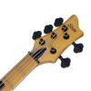 SCHECTER RIOT SESSION-5 AGED NATURAL SATIN - Image 6