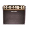 FISHMAN LOUDBOX ARTIST AMP (PRO-LBX-EX6)