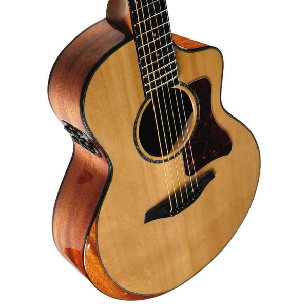 D&D MONTEREY SPRUCE CUTAWAY W/ BAG - Image 2