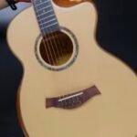 D&D DEL MAR ACOUSTIC GUITAR SOLID SPRUCE PU V2 W/BAG