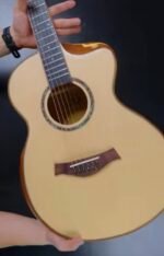 D&D DEL MAR ACOUSTIC GUITAR SOLID SPRUCE PU V2 W/BAG
