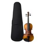 STREBEN VIOLIN 4/4 MATTE WITH CASE V2