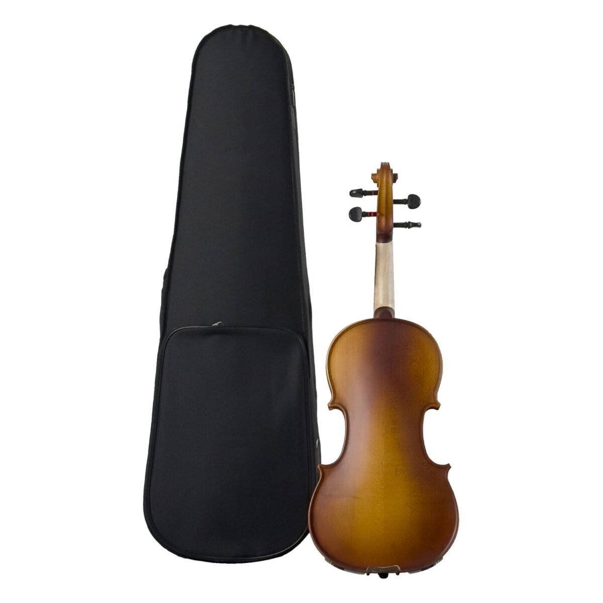 STREBEN VIOLIN 4/4 MATTE WITH CASE V2 - Image 2