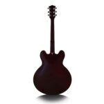 ASPIRE JS100 SEMI-HOLLOW ELECTRIC GUITAR - Image 2