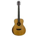 D&D ACOUSTIC GUITAR CARISSA RAMOS