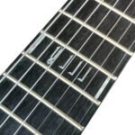 D&D PT-7 (7- String Electric Guitar) – Ocho Toleran Signature Guitar - Image 11