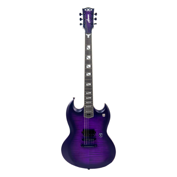 D&D Aurora (6- String Electric Guitar) – Pakoy Fletchero Signature Guitar