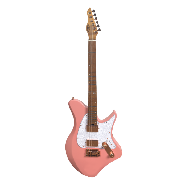 D&D TAIZO ELECTRIC GUITAR 6-String (Joko Reantaso Model)