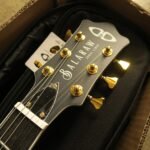 D&D Balaraw Electric Guitar - (Jomal Linao Signature Model) - Image 2