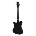 D&D Balaraw Electric Guitar - (Jomal Linao Signature Model) - Image 2